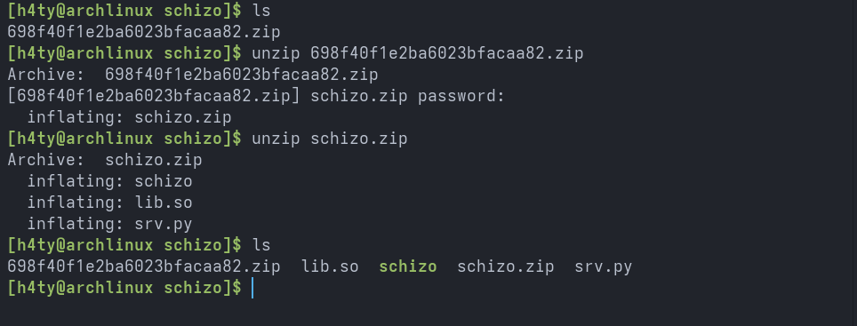 Schizo Writeup Screenshot 1