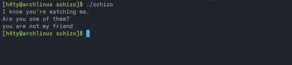 Schizo Writeup Screenshot 2