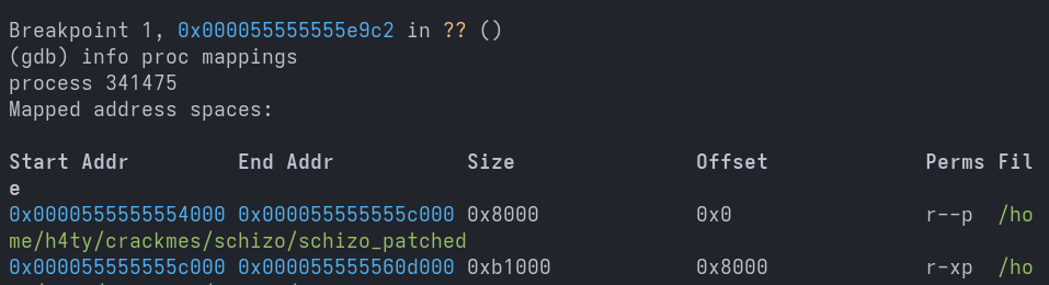 Schizo Writeup Screenshot 24
