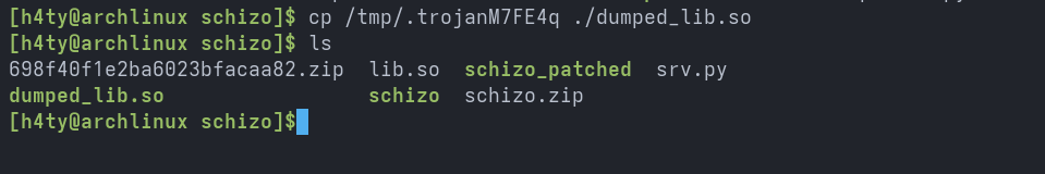 Schizo Writeup Screenshot 27