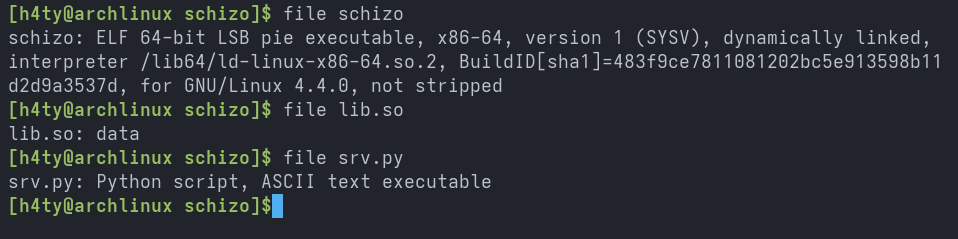 Schizo Writeup Screenshot 3