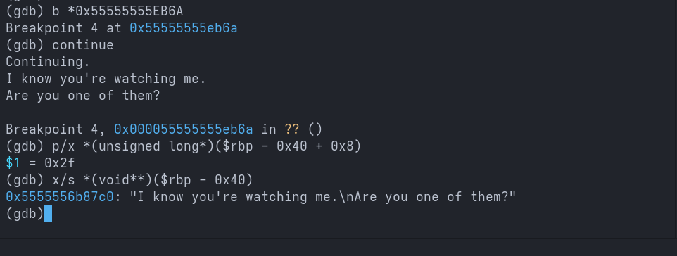 Schizo Writeup Screenshot 32