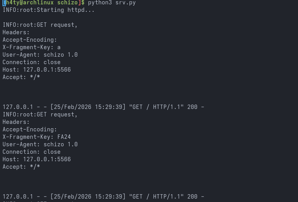 Schizo Writeup Screenshot 5