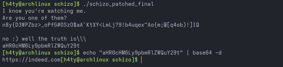 Schizo Writeup Screenshot 52