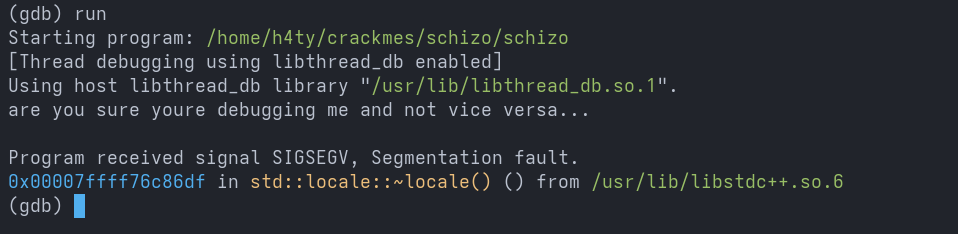 Schizo Writeup Screenshot 6