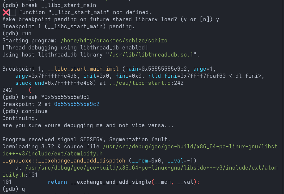 Schizo Writeup Screenshot 8